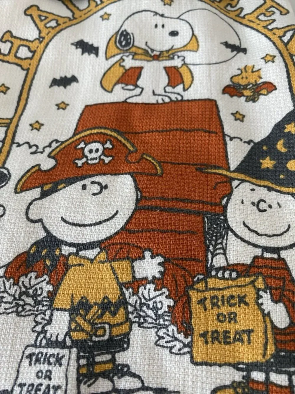 2 pack RAE DUNN PEANUTS Gang Snoopy trick or Treat Halloween Kitchen Towels NEW